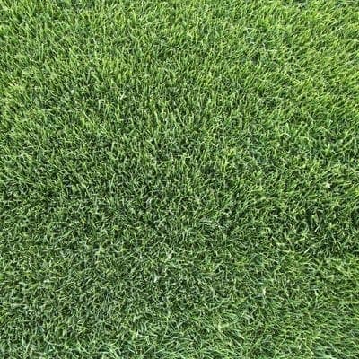 Travanj - Gnojidba i kontrola korova